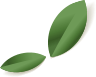 elements-summer-sale-banner-NK5W2VA_leaf_5.png